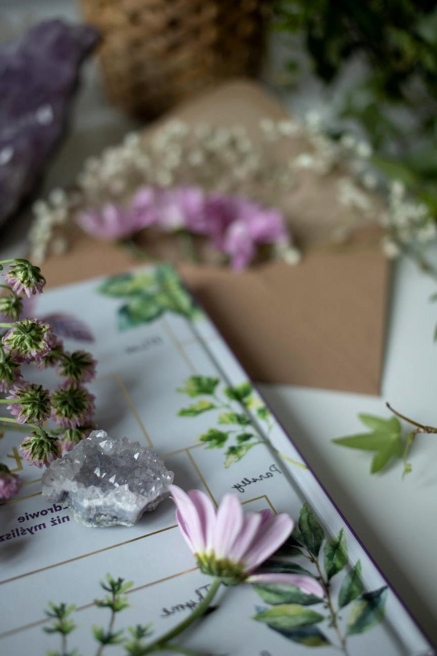 Корица на книгата 'Тайната градина на думите'